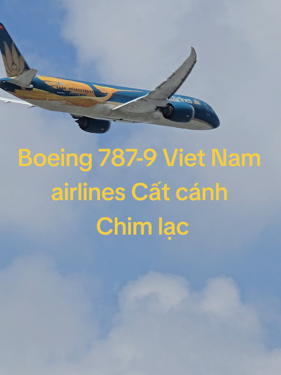 Boeing 787-9Chim lạc Vietnam airlines Cất cánh #maybay #chill #avation #donglivemaybay 