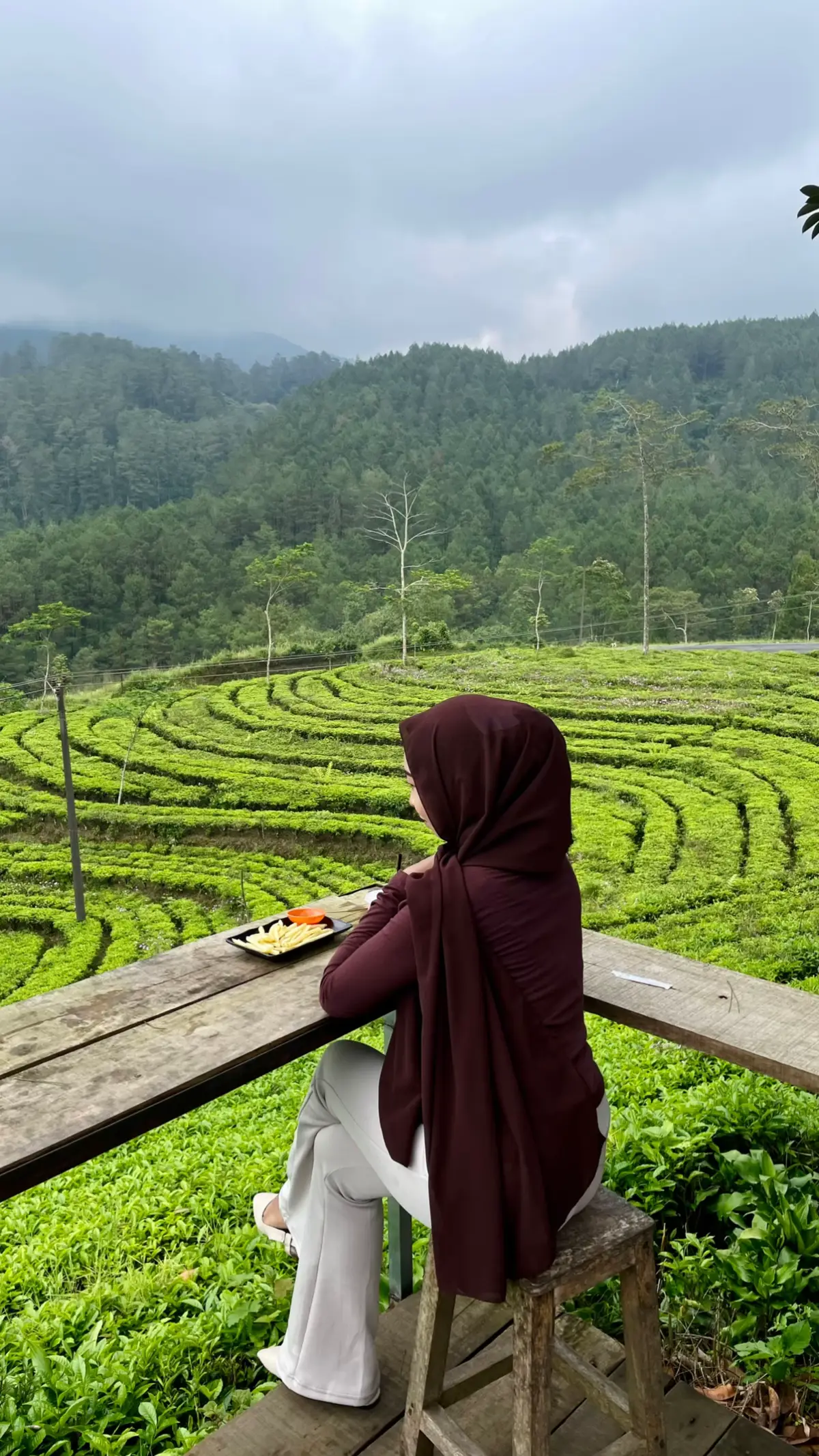 #kebuntehkertosari #kalibeningbanjarnegara #banjarnegara #kebunteh 