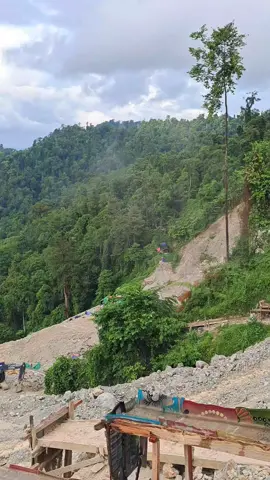 tambang emas