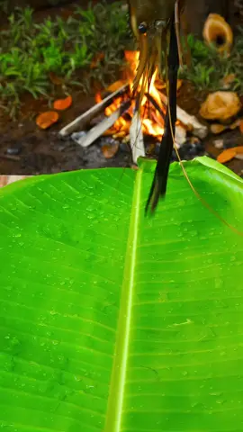 Nếu bạn có nguyên tắc đạo đức cao, hãy bỏ qua video này #tuduythanhcong #sachhay #tuduy #tuduynguoc #tuduylamgiau 