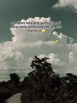 সারাজীবন সবার কাছে অপশন হিসেবেই থেকে গেলাম কারোর কাছে প্রিয় আর হতে পারলাম না🙂 . . . . #bdtiktokofficial🇧🇩 #500kviews✔️ #viralvideo🔥 #foryouu #support_me 