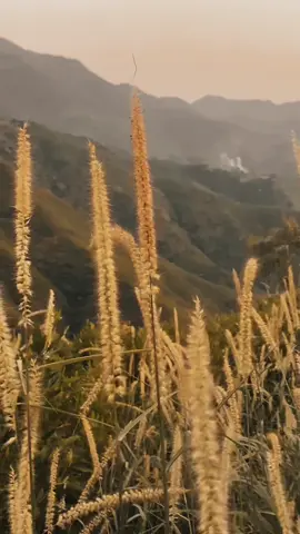 Uff this music 😭💔❤️‍🩹#sadvibes #foryou #music 