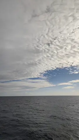 #شوف_كنا_فين_وبقينا_فين_يا_زمان #مصطفي_قمر #تصويري #متابعه 