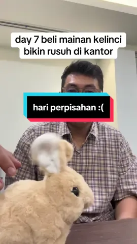 rekomendasi mainan anak 25 tahun lainnya dong, :( terlalu sedih harus berpisah sama kelinci ini #kelincimainan #mainanviral #kantoran 