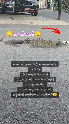 #သေချာကြည့်နော်😁  တိုက်ဆိုင်မှုတခုခုရှိရင် ပြောခဲ့ပေးနော်❤#