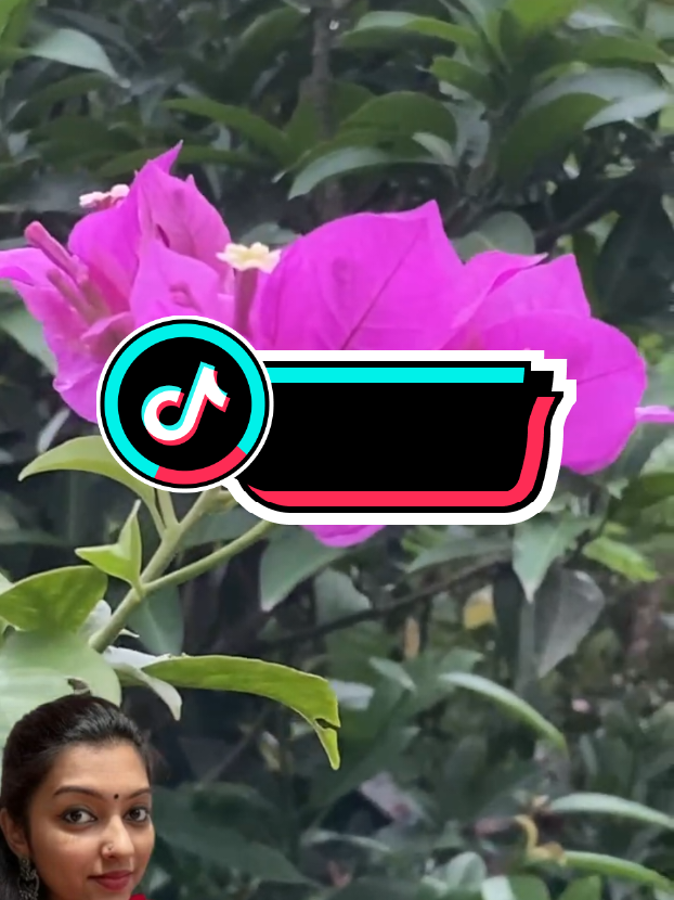#bdtiktokofficial #foryou #tiktok #foryoupage #greenscreen 