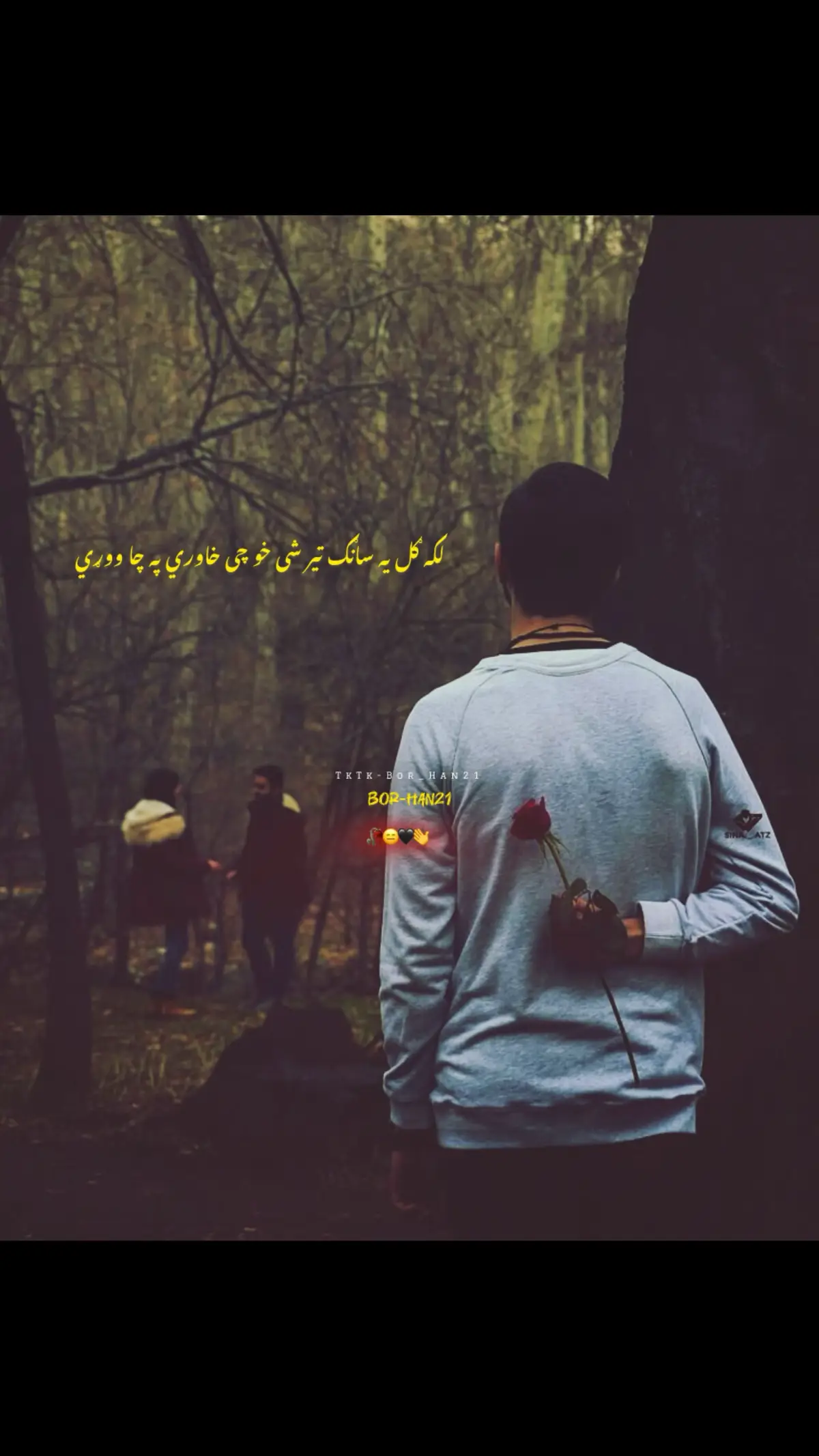 نه یی زړه ته راوستی شو 😭💔#photography #poetryphotos #pleaseunfrezzemyaccount 