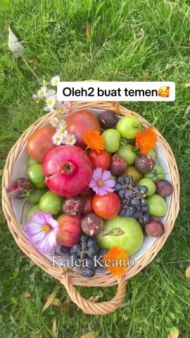 Replying to @Dyana #mashaallahtabarakallah 