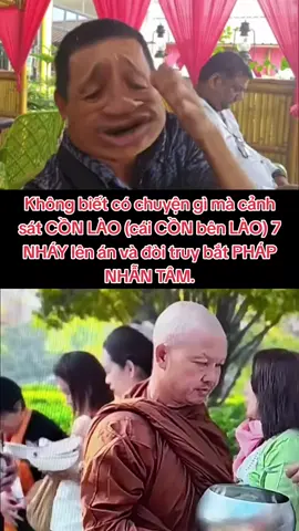 PHÁP NHẪN TÂM bị CỒN LÀO 7 NHÁY truy bắt.  #minhtue #thayminhtue #suminhtue #thichminhtue #phongtoamotdoi 