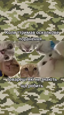 #Meme #MemeCut #CapCut #україна🇺🇦 #зсу🇺🇦 