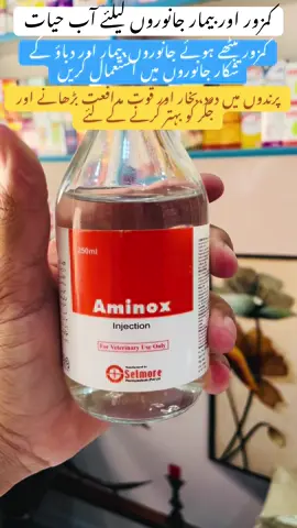 #Aminox #foryoupage❤️❤️ #1mfollowers #migranja🐄🕊🐓🐤🐣 #1millionviews  @Your's Doctor😷ᶜᵗⁿ  @Doctor Rizwan official 🇬🇧  @Ijazshah007 @Vet Dr Wahab official 3 @الصادق ویٹرنری فارمیسی ظفروال @ماشااللّٰہ ویٹرنری میڈیکل سٹور @مدثر ویٹرنری میڈیکل سٹور @Dr Afzaal Ghick 13 @drnomanali5 @Dr.Muhammad Awais Sidhu @Sidhu Vet Clinic | بہاولنگر 