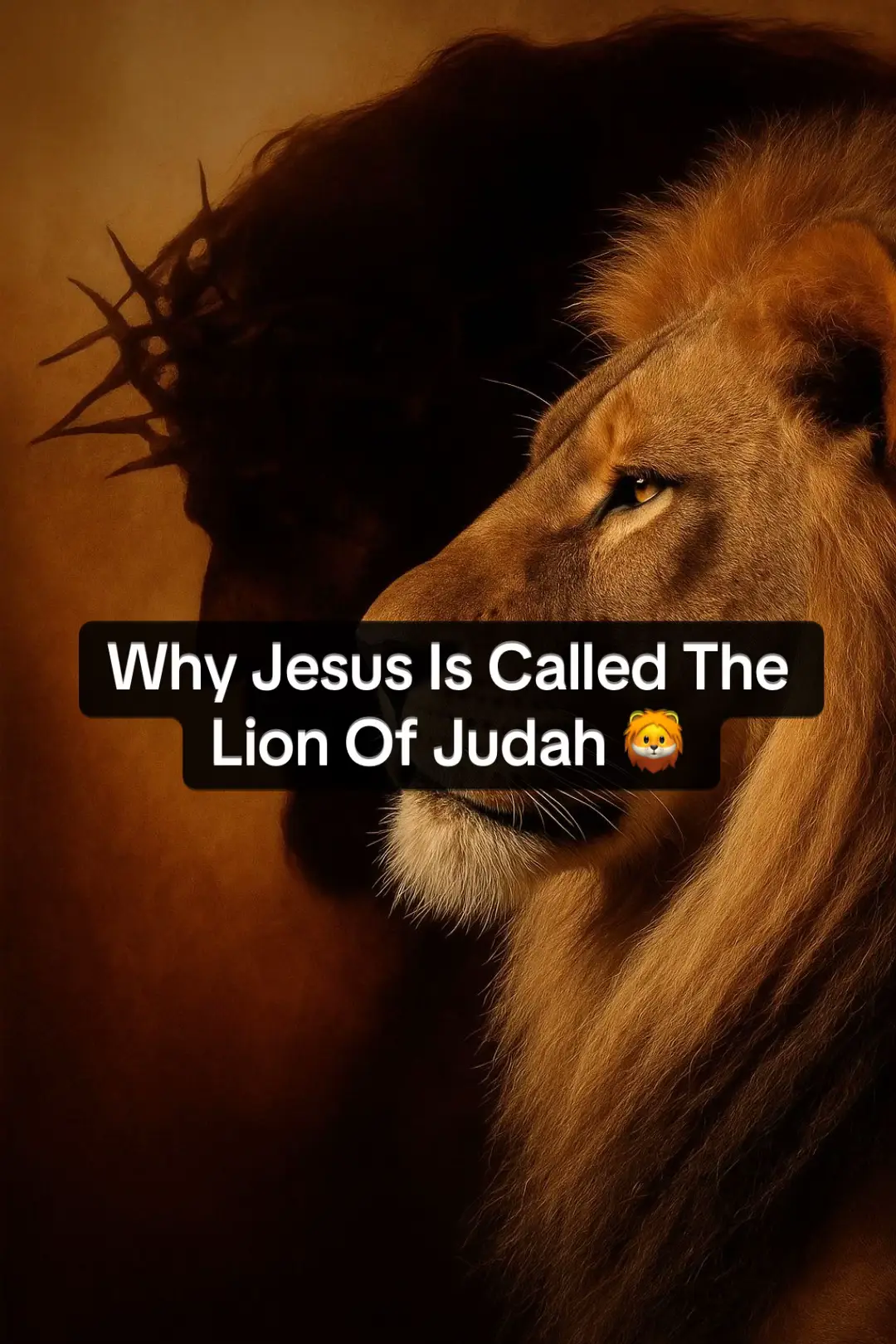 #LionofJudah #JesusIsLord ✝️ 🦁