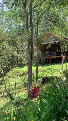 📍Joben Evergreen #lombok #fyp #CapCut 