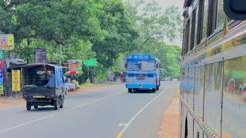 😚හොන් එක නම් පිස්සුවක් 💗🫀 ලෙටිලි නෑ පැදිලි විතරයි 😏 දන්නො දනිති විස්තරේ 😶💗#creatorsearchinsights #viralvideo #fpyツ මෙව්වා පාරෙ යන ජෙට් මල්ලි 🧐😁#Jaffna_Queen🤍 #kaveesha_super_express🤍💙 