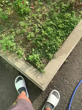 ああ、綺麗な町んですね。