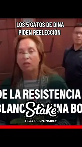 #news #viral #fyp #tiktok #peruu (4)
