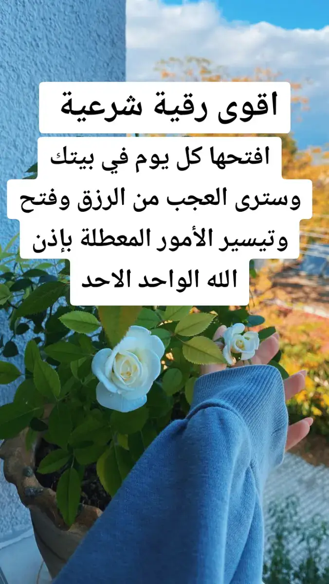 افتحها كل يوم في بيتك وسترى العجب من الرزق وفتح وتيسير الأمور المعطلة بإذن الله الواحد الاحد #رقية_شرعية #رقية #اكسبلور #quran #explore 