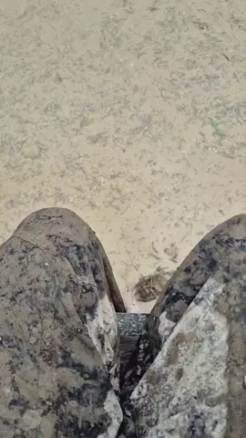 #traktorquick #pesonabocahkampung #traktorpedia #pesonajokitraktor #traktormania 