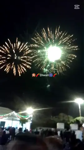 Suncoast Diwali festival 