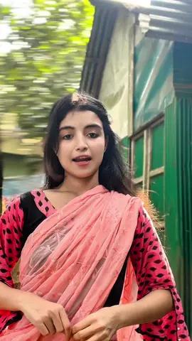 জোনাকি 