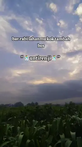 rejeki wes onok seng ngatur #petanimuda #petanimilenial #petaniindonesia🇮🇩🇮🇩🇮🇩🌿🌿 