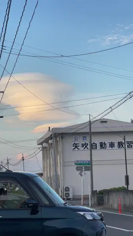 Hỏng ấy✈️💵#メロ秋投稿キャンペーン 