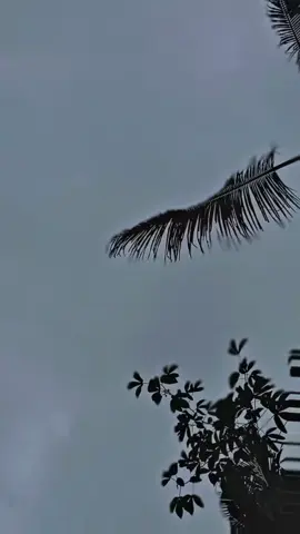 #masukberanda #turokstroke #fyp24jam 