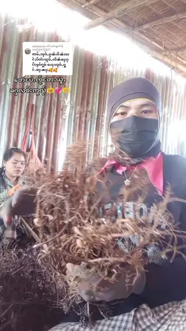 @moonlao67 ကို အကြောင်းပြန်နေသည်#ယွၼ်းႁူဝ်ၸႂ်ၽွင်ႈၶ❤️❤️❤️🙏🙏 #မူဝ်ႁွမ်ႁၵ်ႉၸႅတ်ႈ #ၽၢၵ်ႇတိပ်းတၢမ်းၽွင်ႈၶ # 