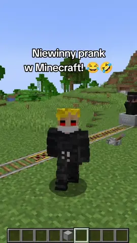 😂😂😂😂😂 #misiakobeztegodrugiego #minecraftmemes #dc #tuff #mem 