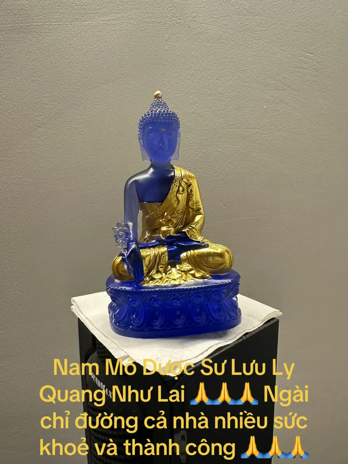 Nam Mô Dược Sư Lưu Ly Quang Như Lai 🙏🙏🙏🙏🙏🙏🙏🙏🙏
