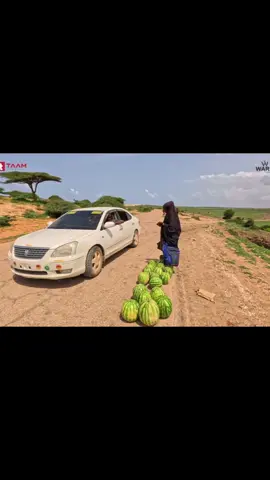 Geedisahan jubadahoose  #lowerjuba #senguuni #somalia #follow 