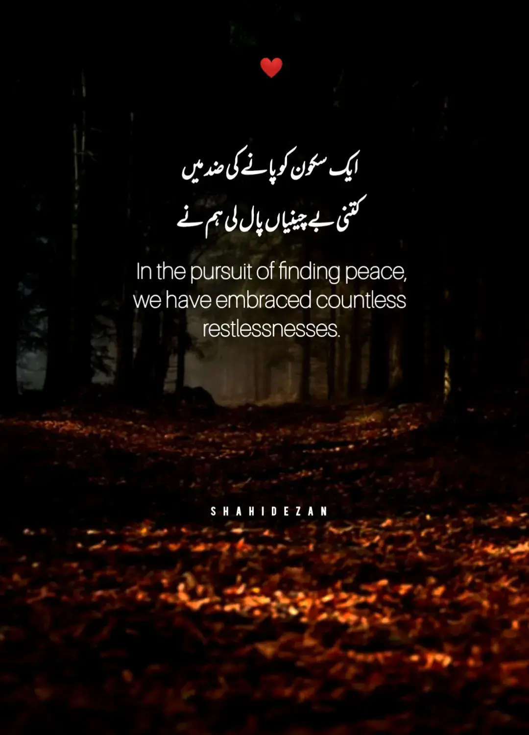 ایک سکون کی خواہش میں، ہم نے دل کے زخم گنوا دیے، جو لمحے ہنسنے کے تھے کبھی، وہ بھی آنسوؤں میں بہا دیے۔ خود سے لڑتے رہے رات دن، یہ سوچ کر کہ شاید کل یہ درد کچھ کم ہو جائے گا، یہ دل کبھی تھم جائے گا۔ پر ہر کوشش اک زنجیر بنی، ہر دعا میں اک آہ چھپی، سکون مانگا، مگر ملا نہیں، بے چینی اپنی قسمت لکھی۔ اب سمجھ آیا، اے دل نادان، سکون خریدے نہیں جاتے، یہ دل جب خالی ہو جائے، تب خواب بھی مر جاتے