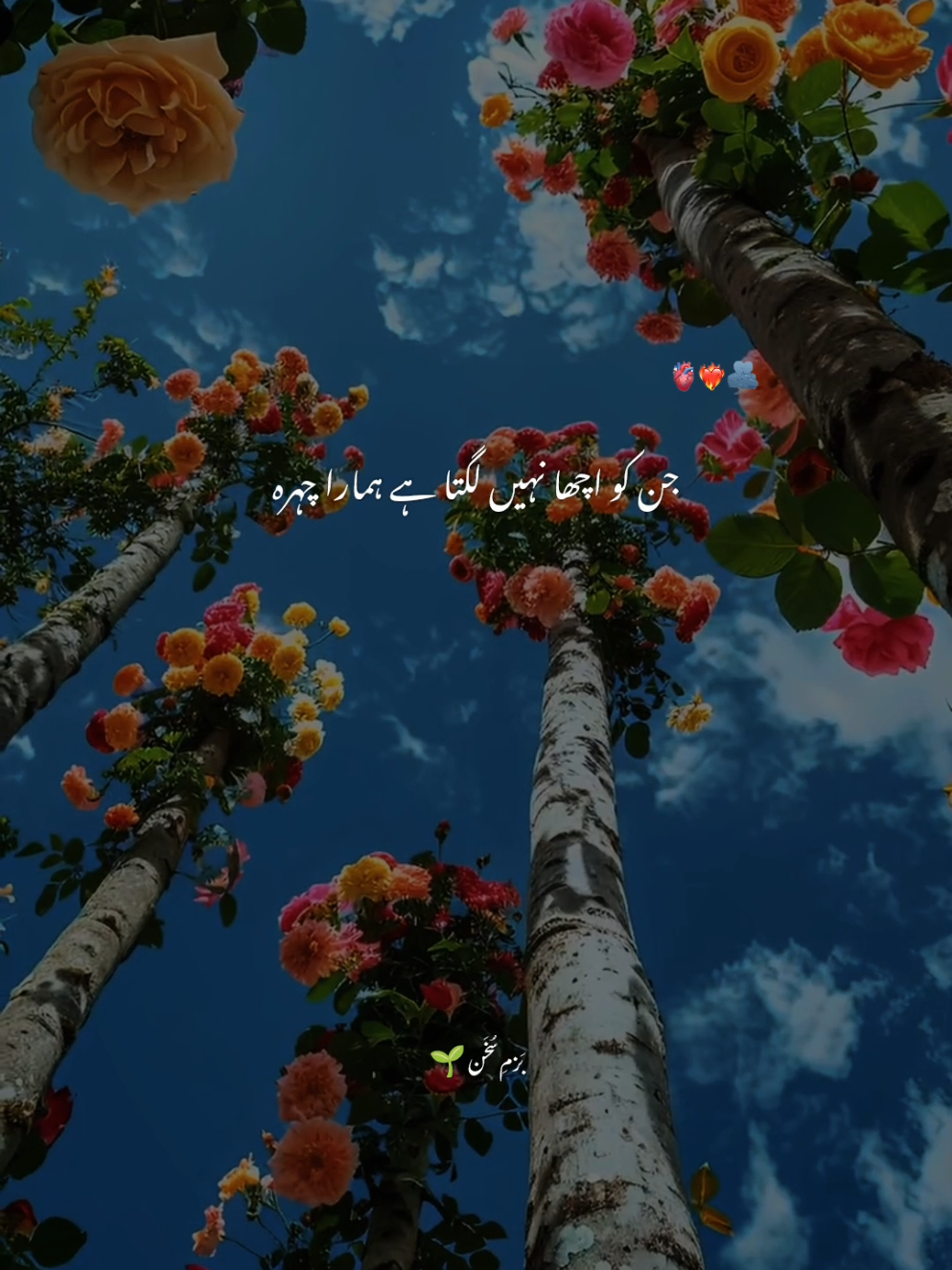 میں نے بچوں کو محبت سے نہیں روکا مگر😔🙂‍↕️🔗❤️‍🩹❤️‍🔥 Repost 🫀🙏🏻🤌🏻💫