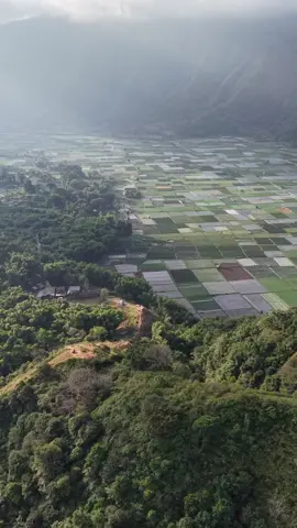 The view from bukit selong sembalun 🗻 #sembalun  Itinerary Paket Tour Lombok 5 Hari 4 Malam HARI 1. PICKUP AIRPORT LOMBOK – SASAK TOUR - Desa Sukarara : Tempat Kerajinan Kain Tenun Khas Lombok Berfoto Memakai Baju Adat Lombok Di Desa Sukarara (Free) - Desa Sasak Sade - Makan Siang Di Anda Resto Kuta Lombok  - Pantai Kuta Mandalika - Tanjung Aan - Bukit Merese - Makan Malam Di Rumah Makan Taliwang - Check In Hotel HARI 2. PICKUP HOTEL – SNORKELING 3 GILI - Pickup hotel (di sarankan brangkat pagi) - Perjalanan menuju Jetty - Bukit malimbu - Villa hantu (potostop) - SNORKELING GILI TERAWANGAN,MENO,AIR (PRIVATE BOAT) - Makan siang di restoran terawangan - Free aktivity 