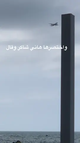 #lebanon🇱🇧 #بيروت #هاني #شاكر #explorepage✨ 