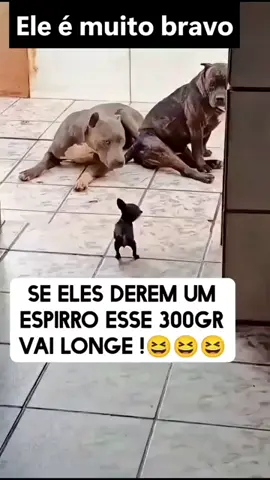 siga me para maus vídeos