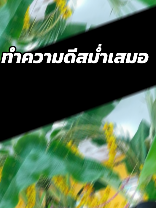 #บ้านนาเพลินนำเสนอ เพลินนำเสนอ 