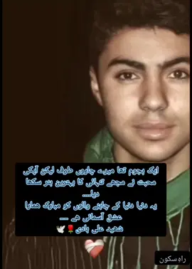 شہید علی ہادی 💌 #شہید_علی_ہادی #statusshuhadavideo #parachinar #viralvideo #shaheedalihadi 