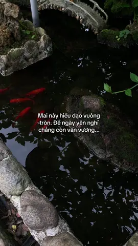 …#tamtrang #story 