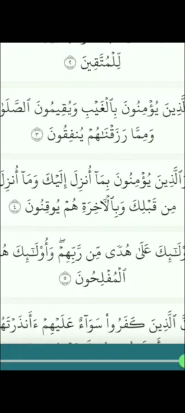 #newtiktokfeature #fyppppppppppppppppppppppp #fy #fypage #quran_alkarim 