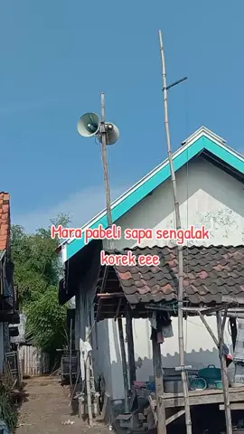 sapa sengalak korek#pengumuman #siaran #viralvideo #pageforyou #viraltiktok @priyono010 @depkolektor 