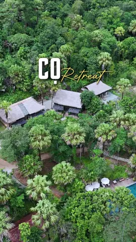 Review Cọ retreat , một khu nghỉ dưỡng mới ở Đà Bắc , Phú Thọ #vietnamsignature #Travel #conduongdisan #Dulichnghiduong 