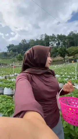 #fyp #tawangmangukaranganyar #petikstrawberry 