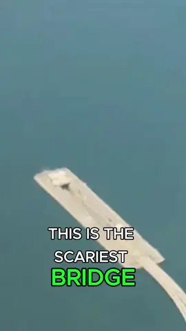 “Would YOU Drive Across This Underwater Bridge? 😳🌊” #ChesapeakeBayBridgeTunnel #ScariestBridge #usa #usa🇺🇸 #fyp 