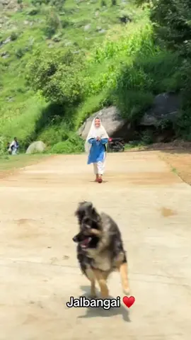 @محمد 🍂🦋 #🥀😍😍😍😍😍#😒😒😒😒 