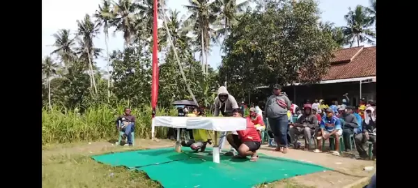 Monkey Bot jebol di babak 4 di sisa burung 61 😌#merpatikolong 