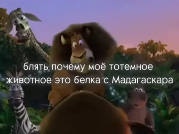 придурошная потому что #мадагаскар #тотемноеживотное #рекомендации #мадагаскар2 