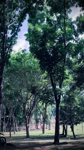 Vibes PSN25. #peransakanasional2025  #pramuka  #indonesia  #gorontalo 