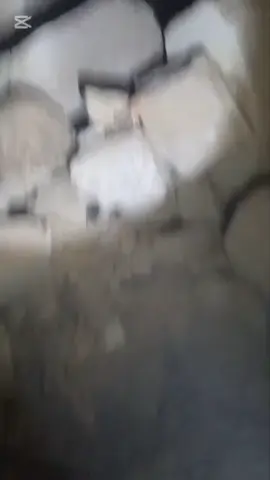 پاکستانی مردار زړه نه یخ کړی