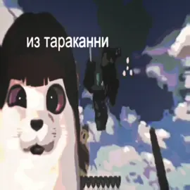 Довольно крутой тюлень для своего возраста #yngbless @тгк @yngbless #edit 